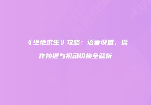 《绝地求生》攻略：语音设置、操作按键与视角切换全解析