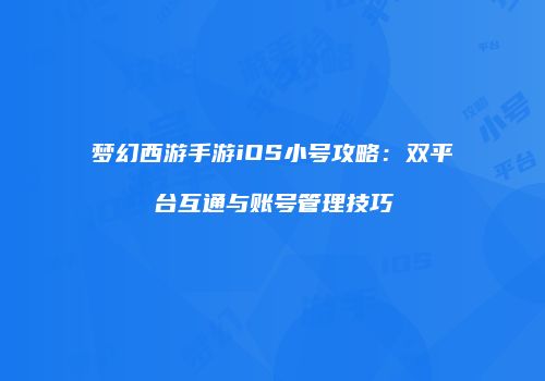 梦幻西游手游iOS小号攻略：双平台互通与账号管理技巧