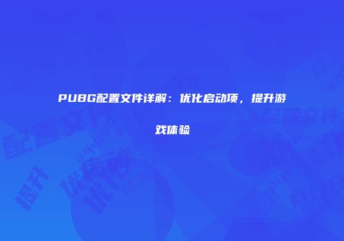 PUBG配置文件详解：优化启动项，提升游戏体验