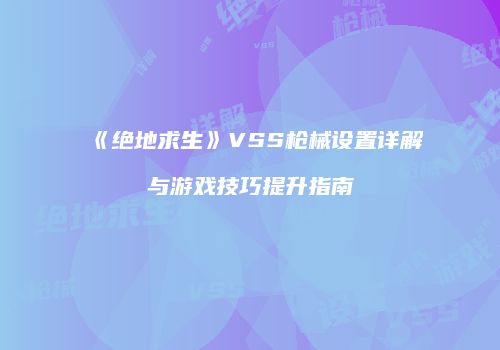 《绝地求生》VSS枪械设置详解与游戏技巧提升指南