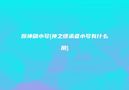 原神刷小号(神之继承者小号有什么用)