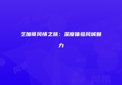 芝加哥风情之旅：深度体验风城魅力