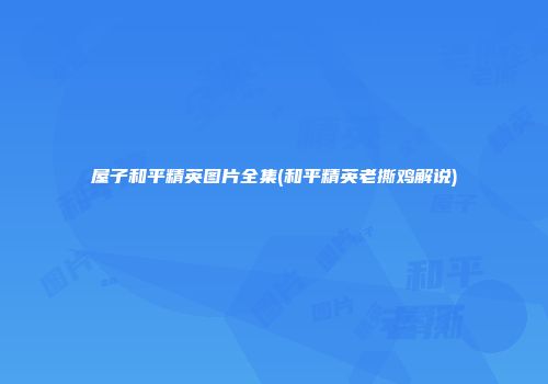 屋子和平精英图片全集(和平精英老撕鸡解说)