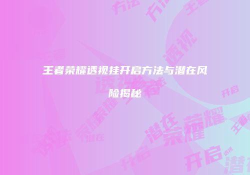 王者荣耀透视挂开启方法与潜在风险揭秘