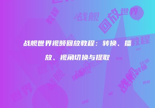 战舰世界视频回放教程：转换、播放、视角切换与提取