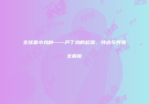 全球最小鸡种——芦丁鸡的起源、特点与养殖全解析