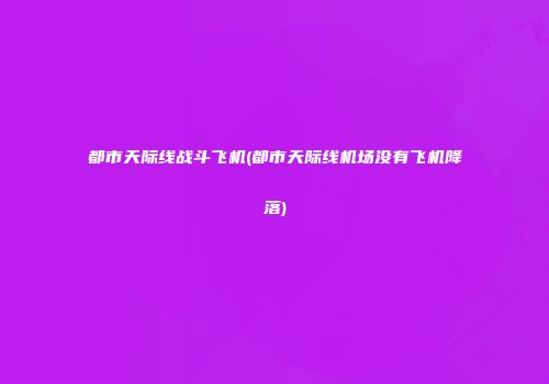 都市天际线战斗飞机(都市天际线机场没有飞机降落)