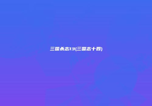 三国杀志13(三国志十四)