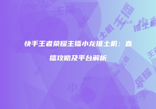 快手王者荣耀主播小龙推土机：直播攻略及平台解析
