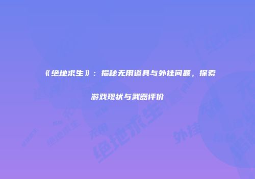 《绝地求生》：揭秘无用道具与外挂问题，探索游戏现状与武器评价