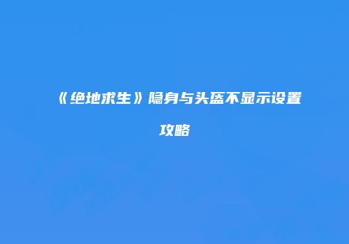 《绝地求生》隐身与头盔不显示设置攻略