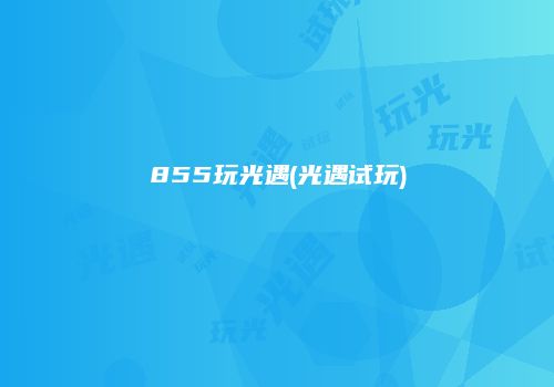 855玩光遇(光遇试玩)