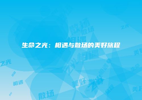 生命之光：相遇与散场的美好旅程