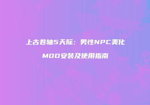 上古卷轴5天际：男性NPC美化MOD安装及使用指南