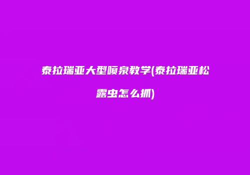 泰拉瑞亚大型喷泉教学(泰拉瑞亚松露虫怎么抓)