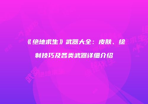 《绝地求生》武器大全：皮肤、绘制技巧及各类武器详细介绍
