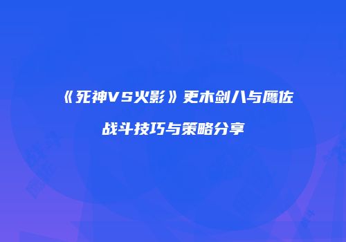 《死神VS火影》更木剑八与鹰佐战斗技巧与策略分享