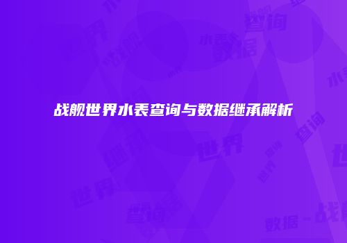 战舰世界水表查询与数据继承解析