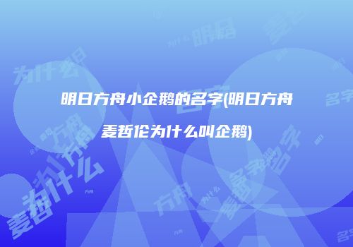 明日方舟小企鹅的名字(明日方舟麦哲伦为什么叫企鹅)