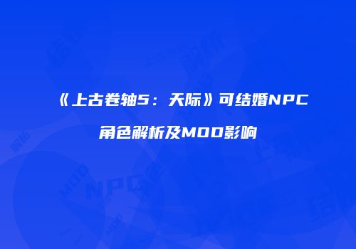 《上古卷轴5：天际》可结婚NPC角色解析及MOD影响