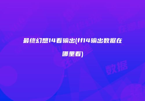 最终幻想14看输出(ff14输出数据在哪里看)
