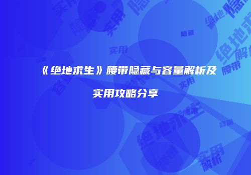 《绝地求生》腰带隐藏与容量解析及实用攻略分享