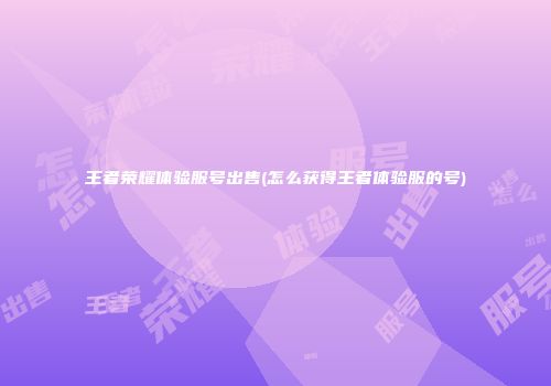 王者荣耀体验服号出售(怎么获得王者体验服的号)