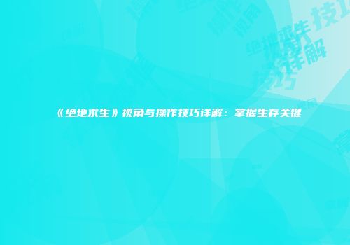 《绝地求生》视角与操作技巧详解：掌握生存关键