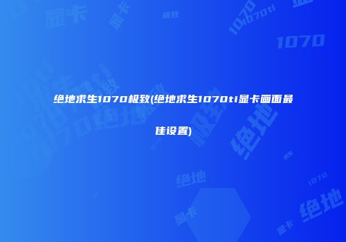 绝地求生1070极致(绝地求生1070ti显卡画面最佳设置)