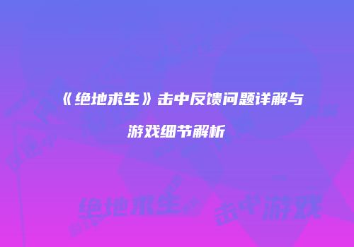 《绝地求生》击中反馈问题详解与游戏细节解析
