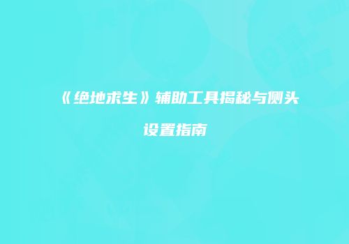 《绝地求生》辅助工具揭秘与侧头设置指南