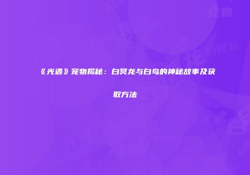 《光遇》宠物揭秘：白冥龙与白鸟的神秘故事及获取方法