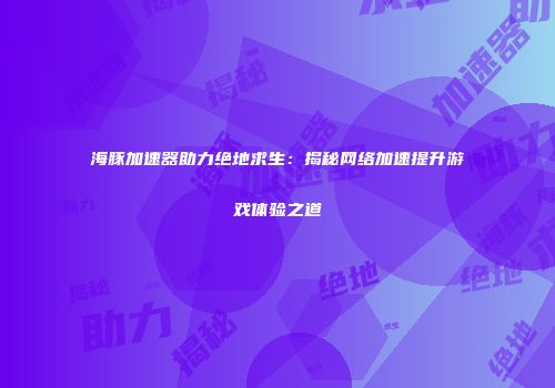 海豚加速器助力绝地求生：揭秘网络加速提升游戏体验之道