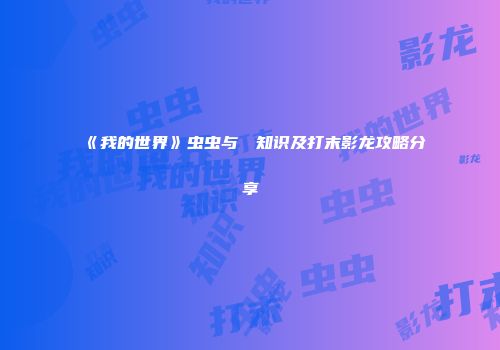 《我的世界》虫虫与エロ知识及打末影龙攻略分享