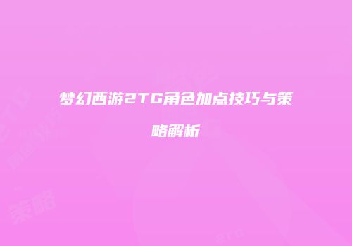 梦幻西游2TG角色加点技巧与策略解析