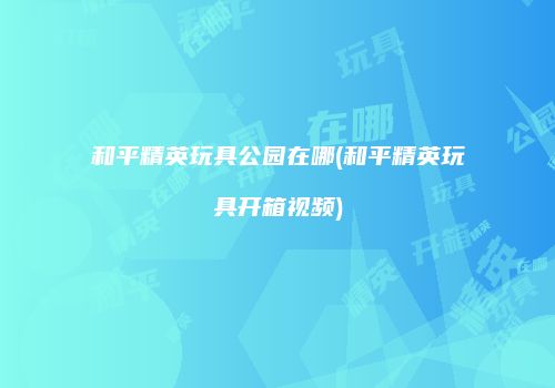 和平精英玩具公园在哪(和平精英玩具开箱视频)
