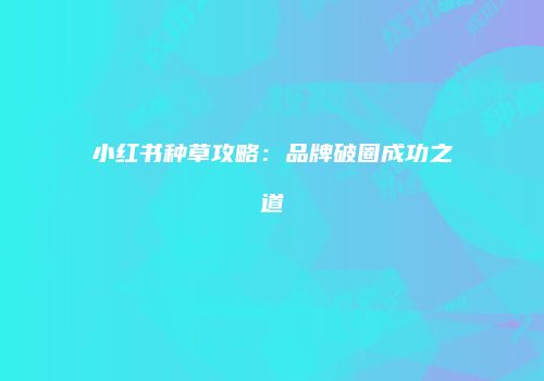 小红书种草攻略：品牌破圈成功之道