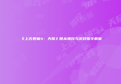 《上古卷轴5：天际》随从操控与游戏指令解析