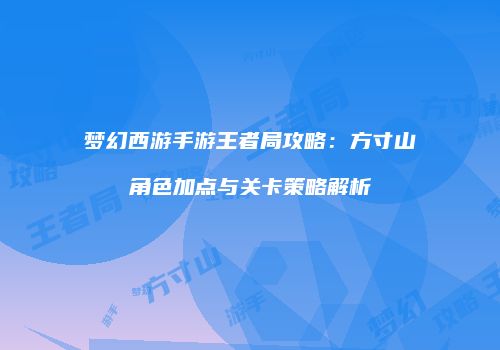 梦幻西游手游王者局攻略：方寸山角色加点与关卡策略解析