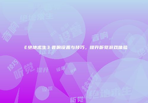 《绝地求生》音响设置与技巧，提升听觉游戏体验