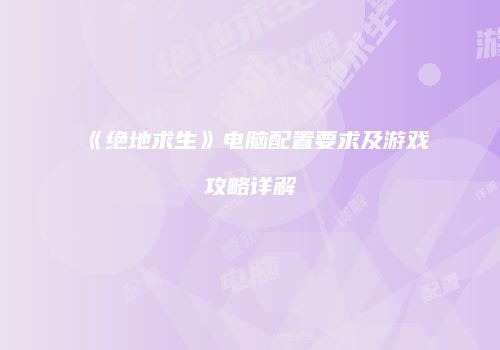 《绝地求生》电脑配置要求及游戏攻略详解