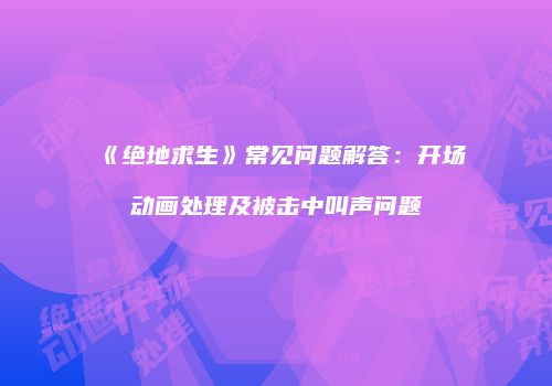 《绝地求生》常见问题解答：开场动画处理及被击中叫声问题