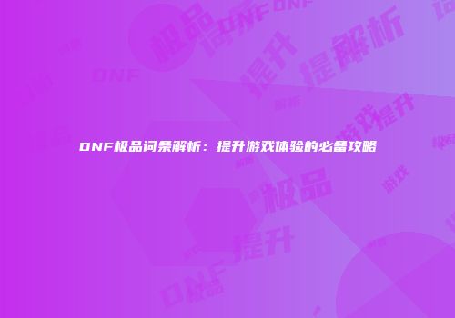 DNF极品词条解析：提升游戏体验的必备攻略
