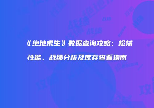 《绝地求生》数据查询攻略：枪械性能、战绩分析及库存查看指南