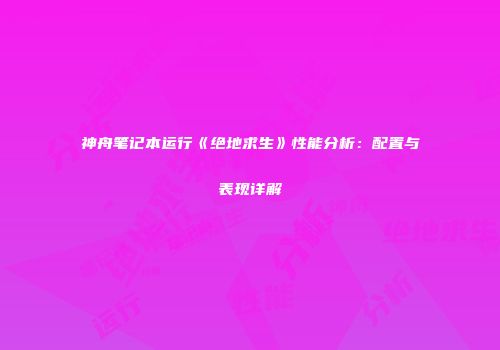 神舟笔记本运行《绝地求生》性能分析：配置与表现详解