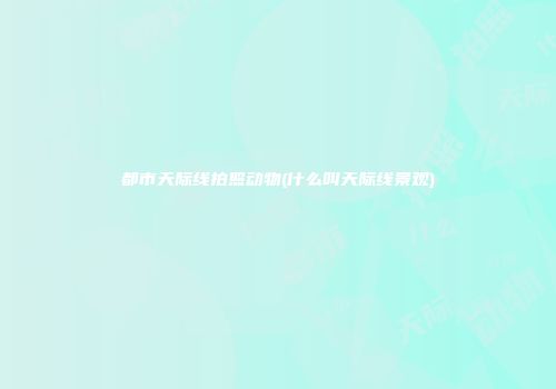 都市天际线拍照动物(什么叫天际线景观)
