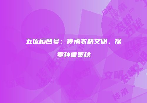 五优稻四号：传承农耕文明，探索种植奥秘