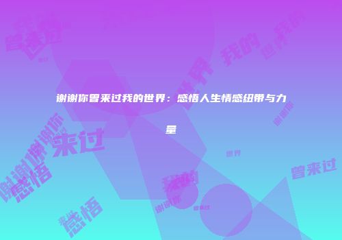 谢谢你曾来过我的世界：感悟人生情感纽带与力量
