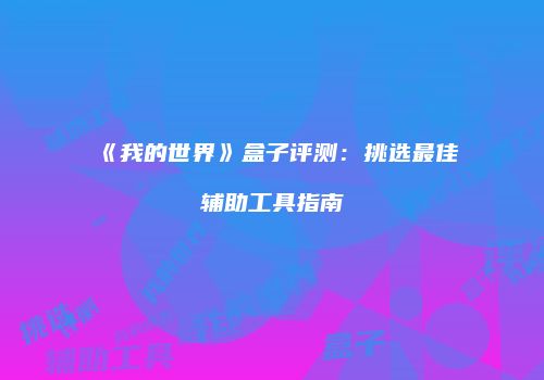 《我的世界》盒子评测：挑选最佳辅助工具指南
