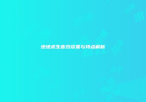 绝地求生音效设置与特点解析